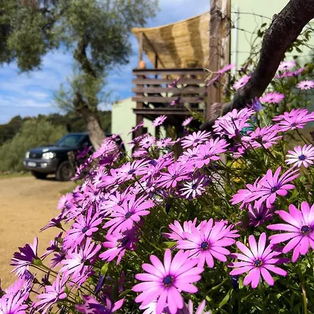 La Pampa Chambres D Hotes Cargese